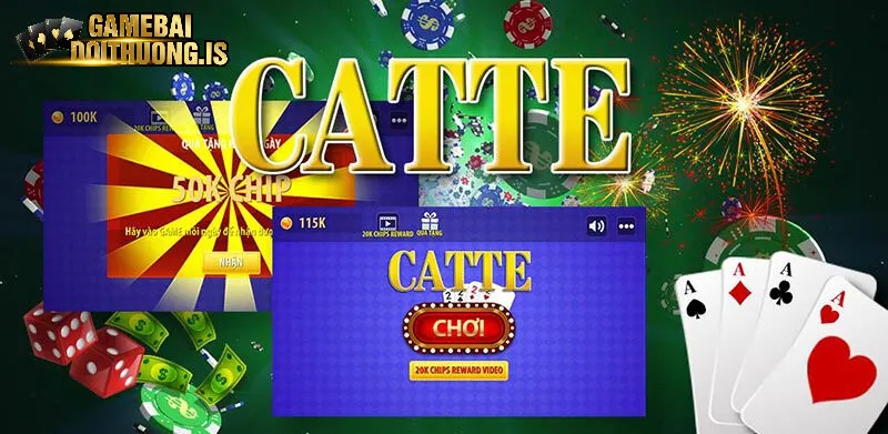 Catte b52